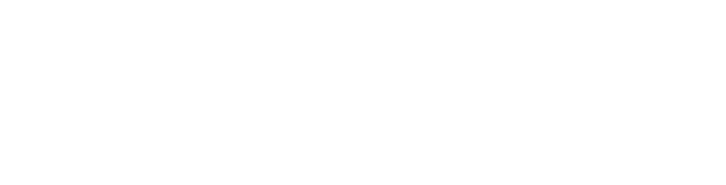 Logo oficial de Esri Partner Network